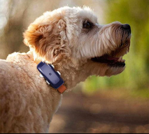 Pet Live Update GPS Tracker